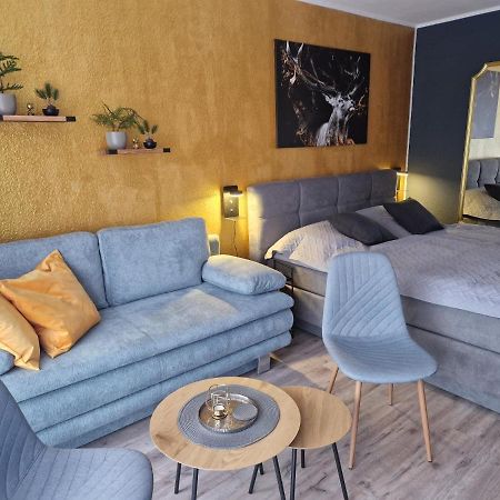 Apartment Am Bocksberg II Goslar Esterno foto